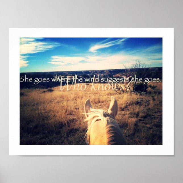 Kenny Chesney Country Western Cowgirl Horse Poster (Frente)