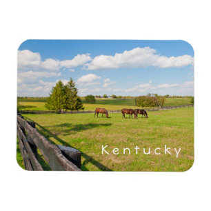 Kentucky, cavalos no cavalo cultiva o ímã da fot