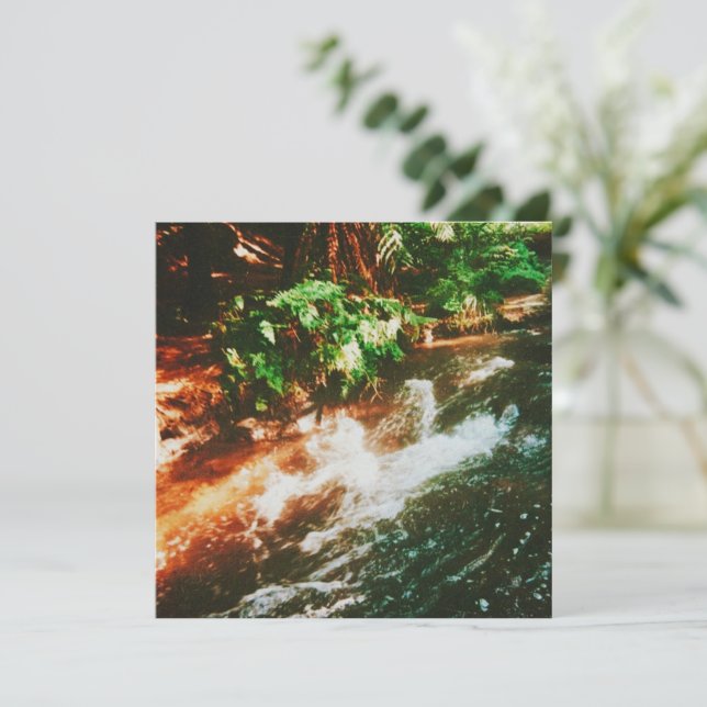 Kerosene Creek Hot Primavera (Em pé/Frente)