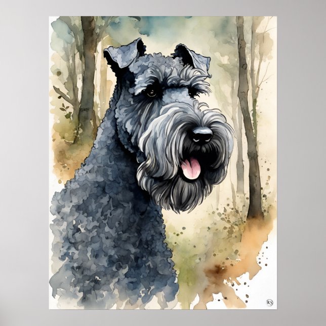 Kerry Blue Terrier - Impressão de Arte Canina (Frente)
