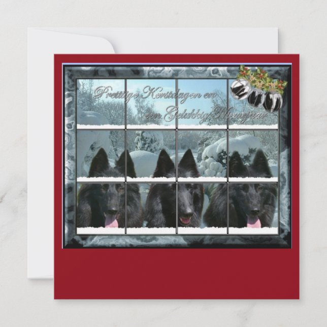 Kerstkaart de 3 groenendaelers (Frente)