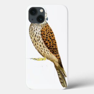 Kestrel 2011