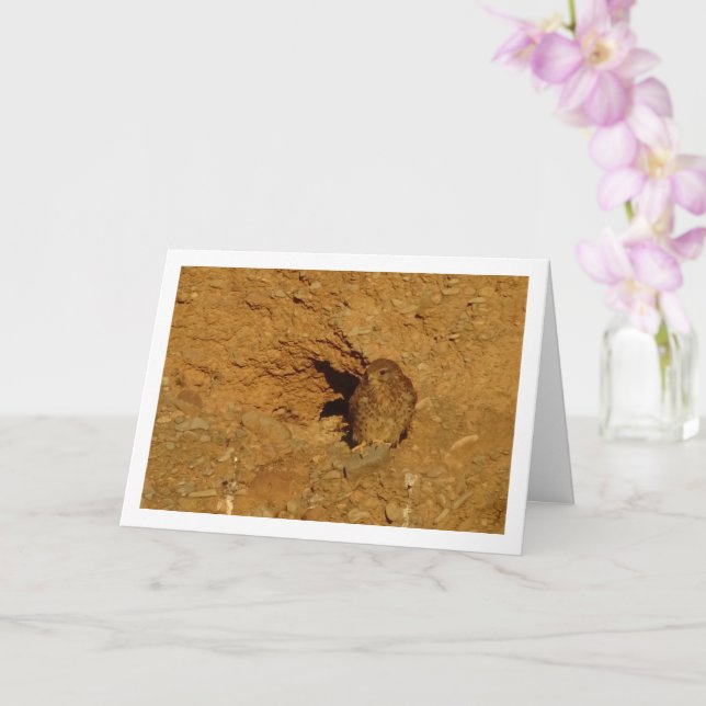 Kestrel Bird, Cartão Falco Tinnunculus (Orquídea)