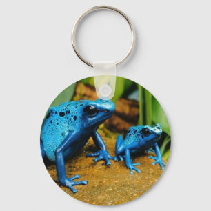 KEYRING AZUL DO CHAVEIRO DO SAPO DO DARDO DO
