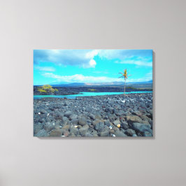 Kiholo Bay capturou vista cênica canvas Hawaii