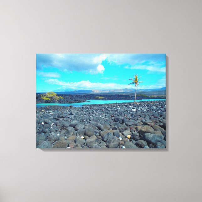 Kiholo Bay capturou vista cênica canvas Hawaii (Frente)