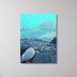 Kiholo Bay Havaí canvas de terra e tartarugas mar