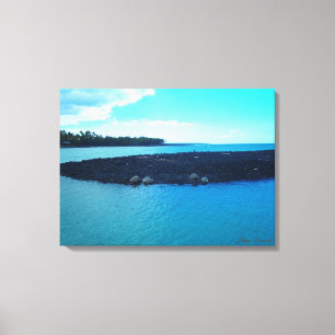 Kiholo Bay tartarugas costa-litoral cenas canvas d