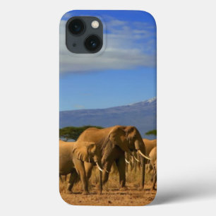 Kilimanjaro e elefantes