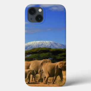 Kilimanjaro e elefantes