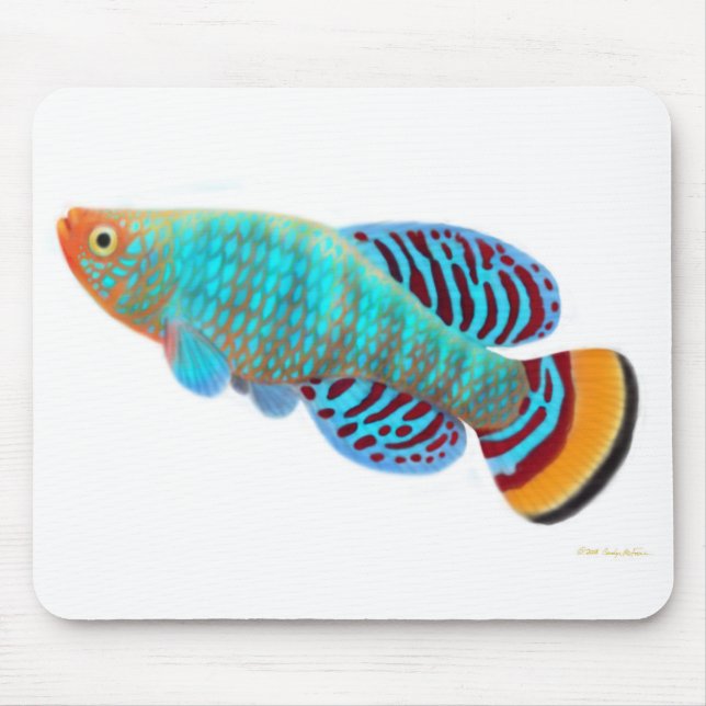 Killifish Mousepad de Nothobranchius Rachovii (Frente)
