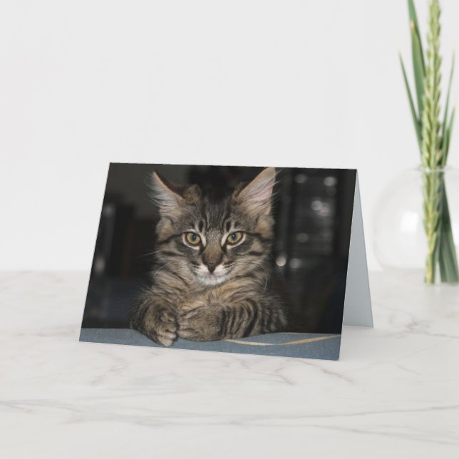 Kimber - Cartão de Aniversário de Espera (Frente)