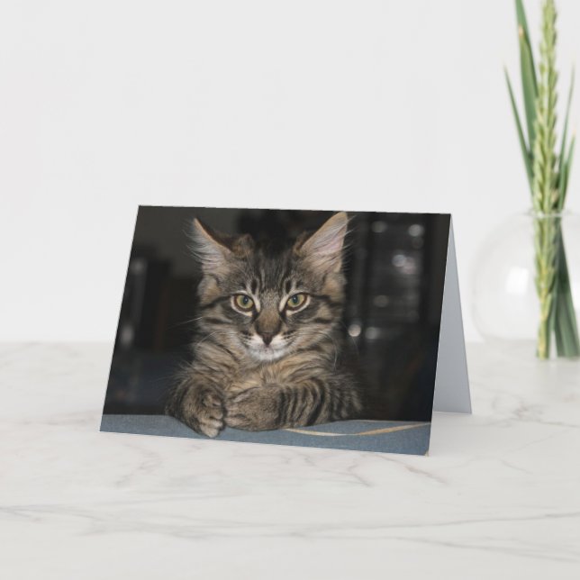 Kimber Cat Não se queime do seu cartão de aniversá (Frente)