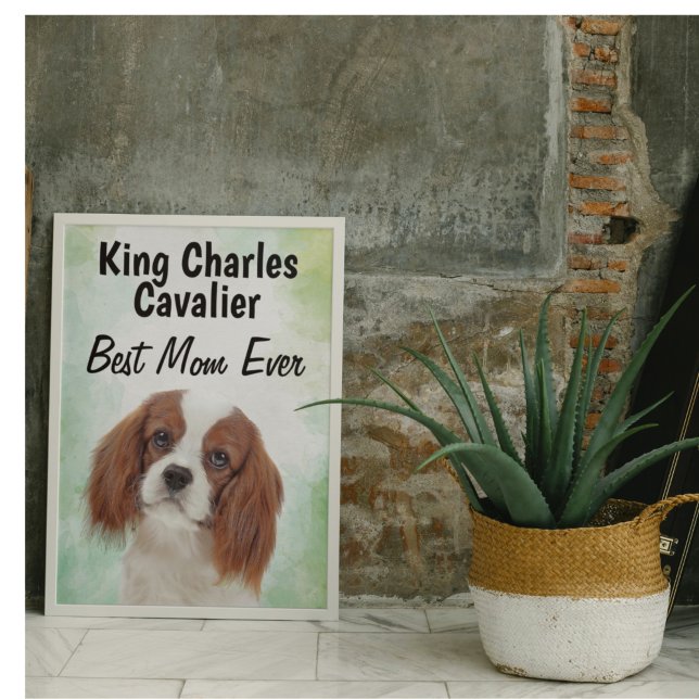 King Charles Cavalier Melhor Poster da Mãe (Criador carregado)