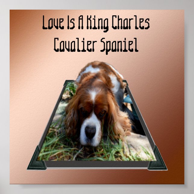 King Charles Cavalier Spaniel, Pop Out Art Poster (Frente)