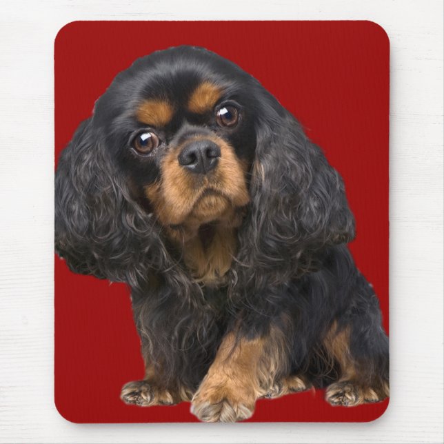 King Charles Spaniel Mousepad (Frente)
