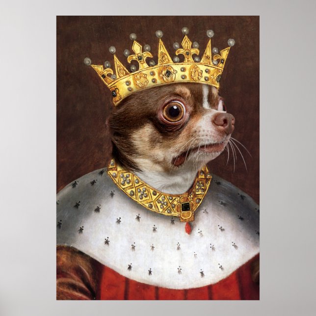 King Chihuahua Poster (Frente)