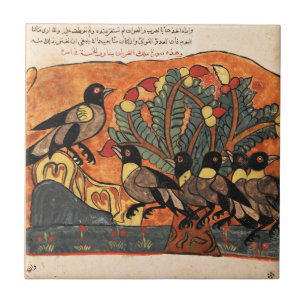 King Crow Advice Indian Renaisance