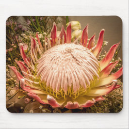King Protea mousepad