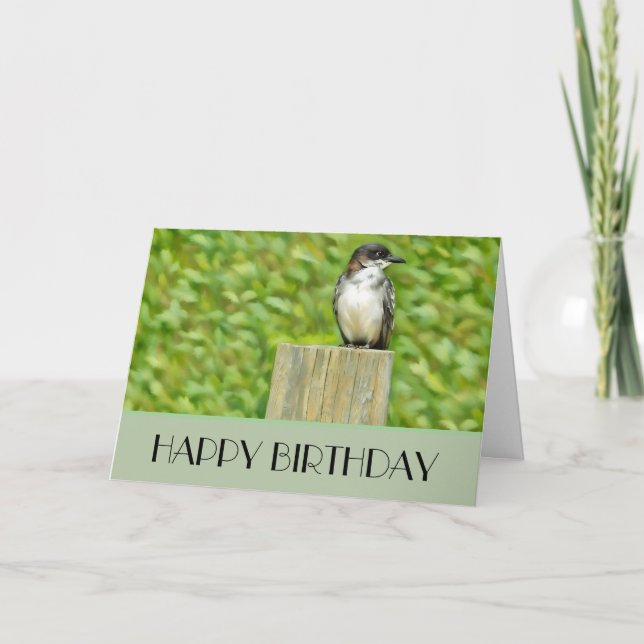 Kingbird Oriental - Cartão de Aniversário (Frente)