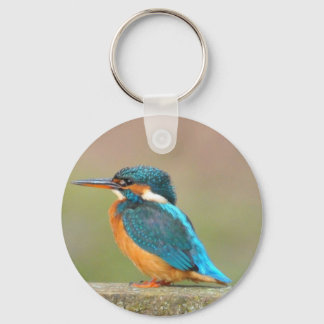 Kingfisher Bird Chaveiro