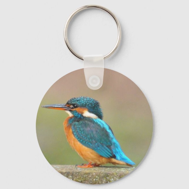 Kingfisher Bird Chaveiro (Frente)