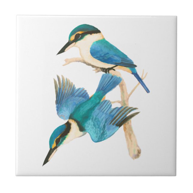 Kingfisher Birds Watercolor Branco (Frente)