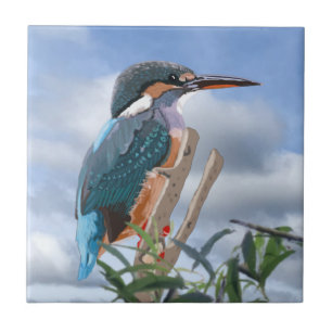Kingfisher e Willow  