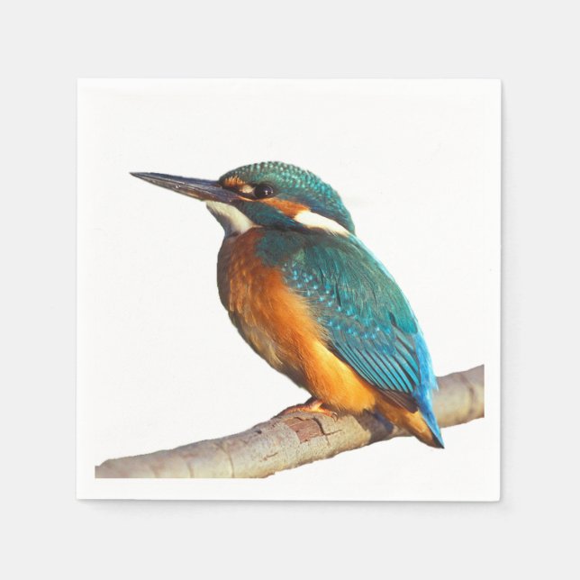 "Kingfisher" guardanapos de papel design (Frente)