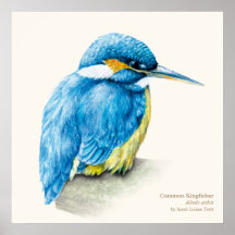 Kingfisher Ornithological belart poster