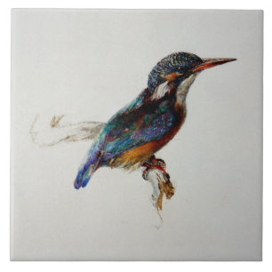 Kingfisher (por John Ruskin)