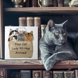 Kit de Iniciação de Lady Cat