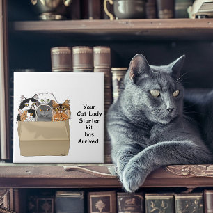 Kit Inicial de Gata Engraçada Humor Branco