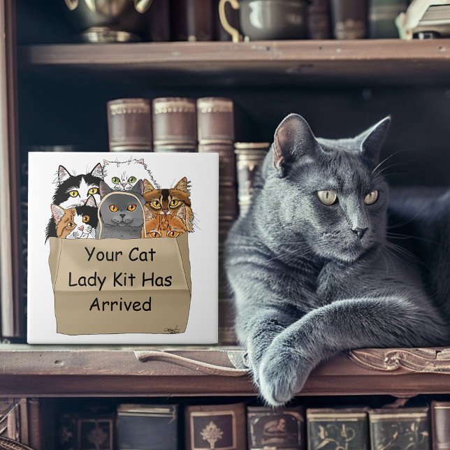 Kit Inicial de Gata Velha (Criador carregado)