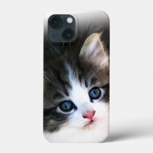 Kitten