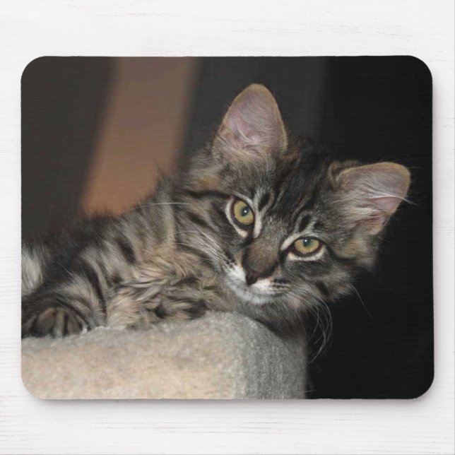 Kitten Chillin' Mouse Pad (Frente)