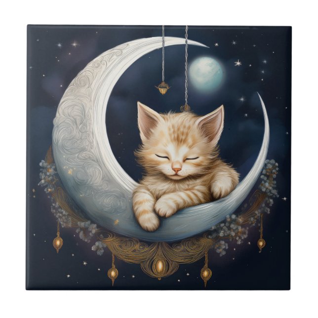 Kitten Dormindo Em Crescent Moon Object (Frente)