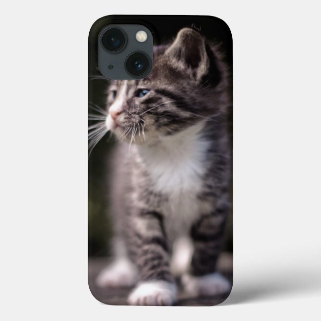 Kitten em pé (Verso)