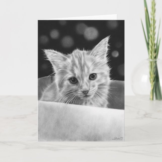 Kitten em uma caixa Cartão de saudação (Frente)