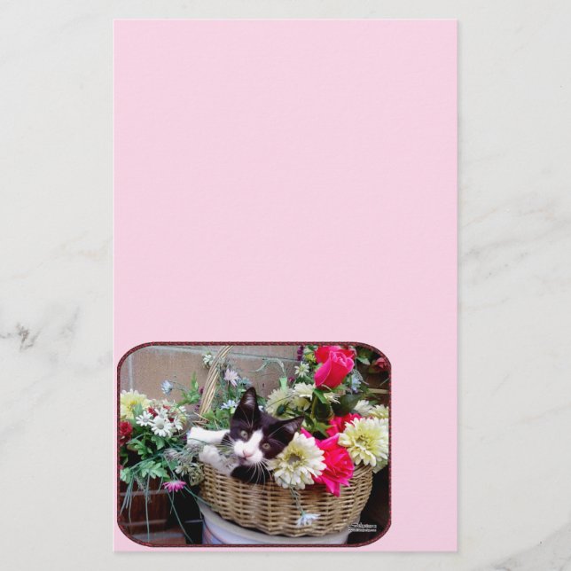 Kitten em uma cesta (Frente)