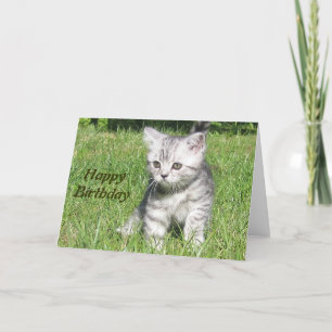 Kitten Happy Birthday - Cartão de Aniversário