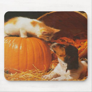 Kitten, Pumpkin e Puppy Mousepad