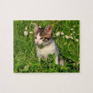 Kitten Quebra-cabeça