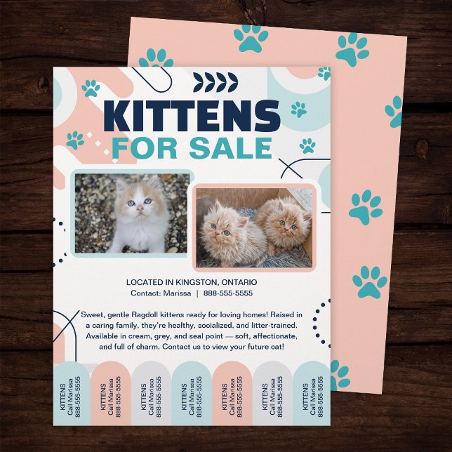 Kittens and Cats For Sale Tear Offs Flyer Template (Criador carregado)
