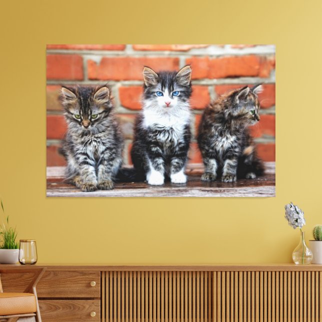 Kittens Canvas Imprimir Imagem 16 (Insitu(Sala de estar))
