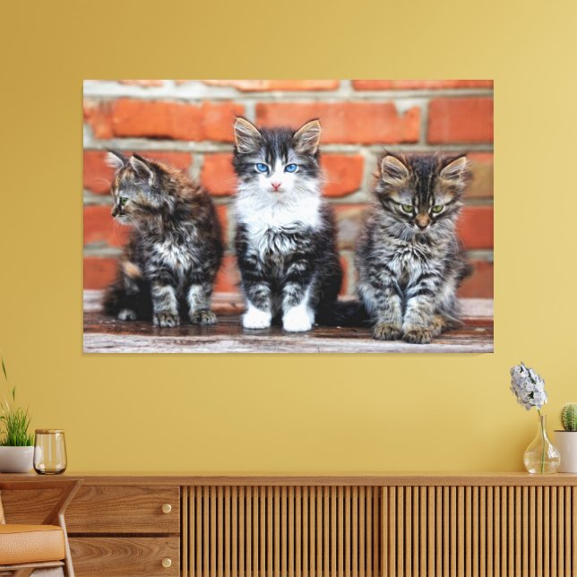 Kittens Canvas Imprimir Imagem 4 (Insitu(Sala de estar))