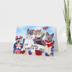 Kittens Cartão de Saudação de 4 de julho