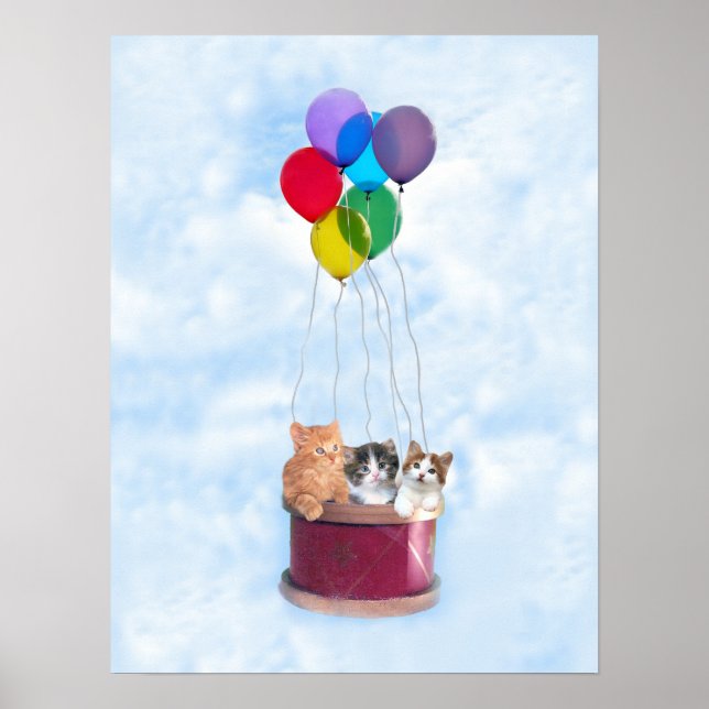 Kittens Impressão de Balão de Ar Quente (Frente)