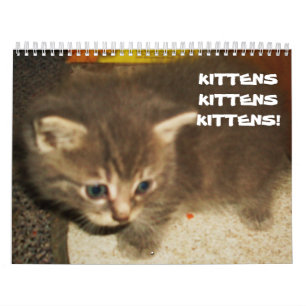 KITTENS, KITTENS, KITTENS! Calendário