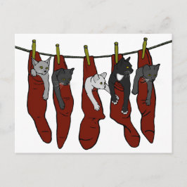 Kittens Natal | Cartão postal Chatons de Nöel